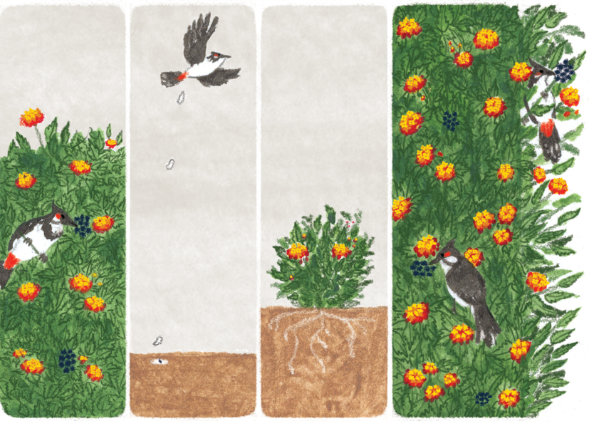  For  Current Conservation Kids 10.3   AD Kalyani Ganapathy  