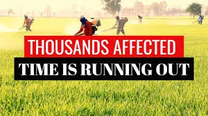 roundup3.jpg