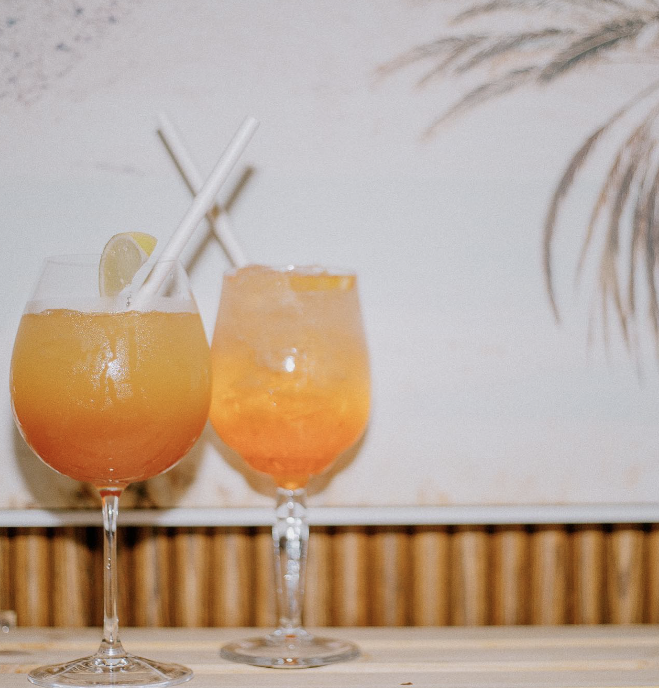 Two glasses of orange-colored cocktails with lemon slices and straws, set on a wooden surface with plants in the background.