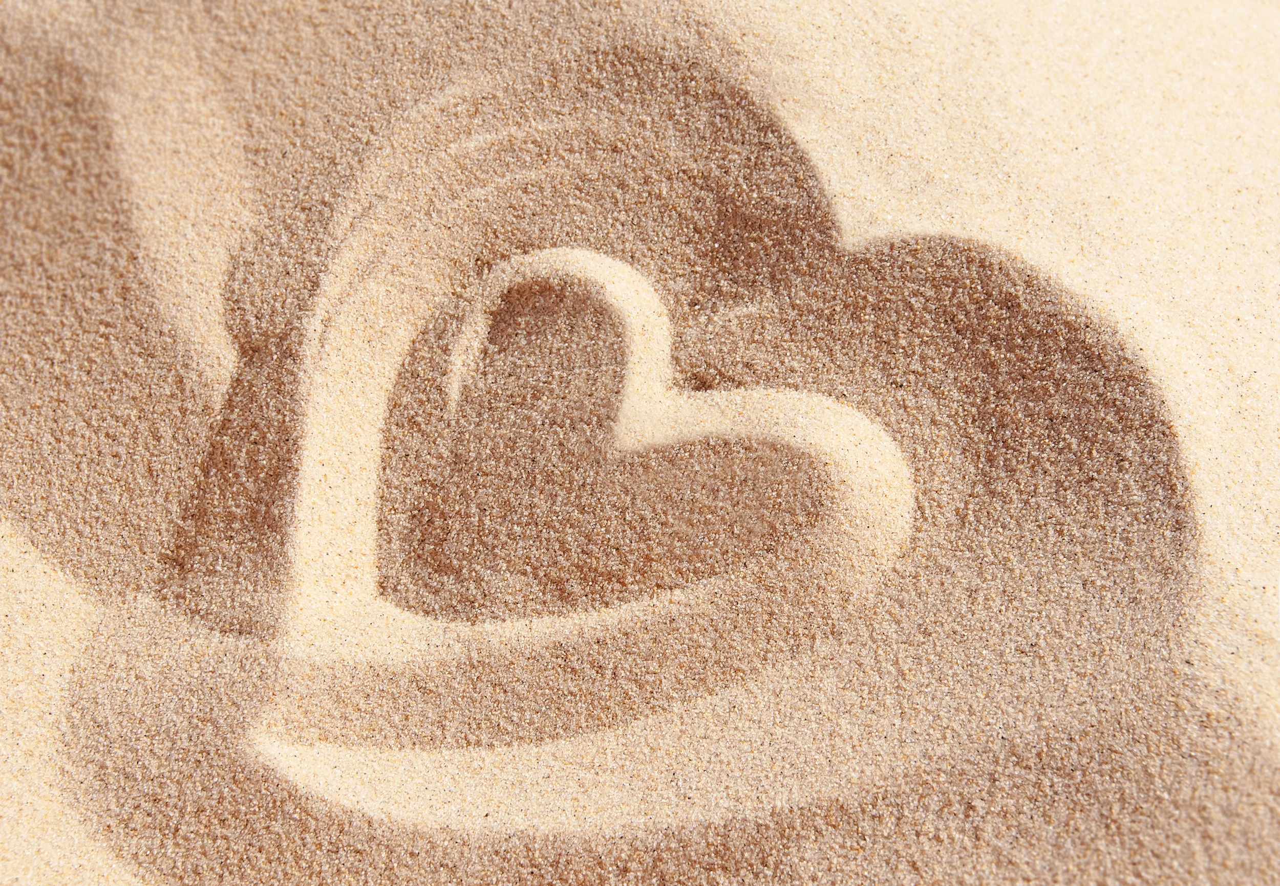 Sandyhearts.jpg