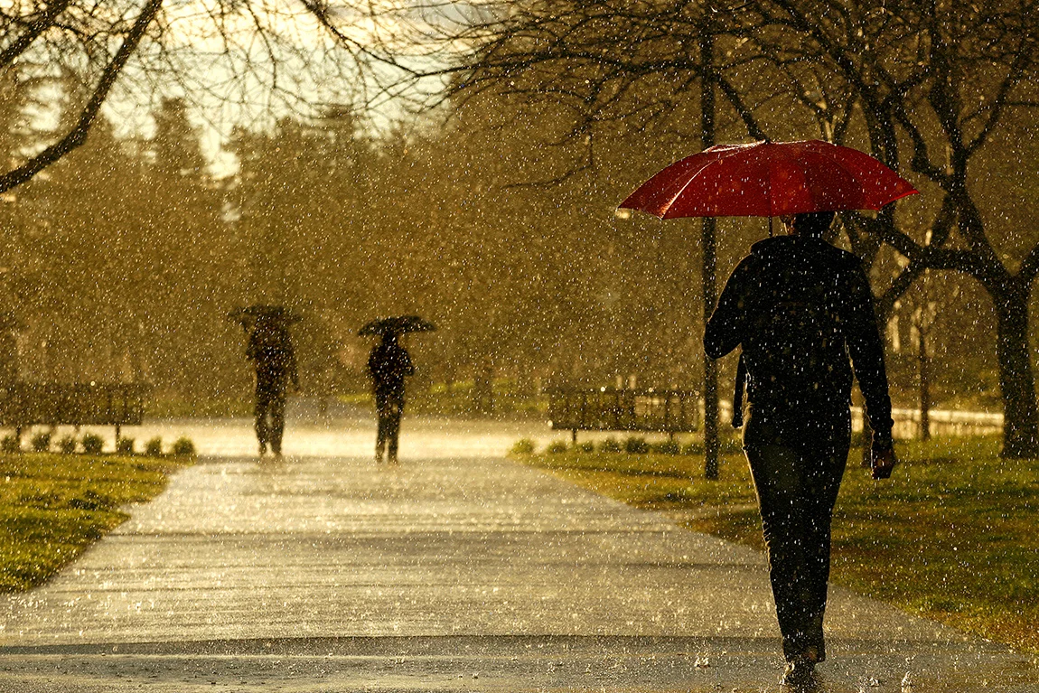  February Rain 