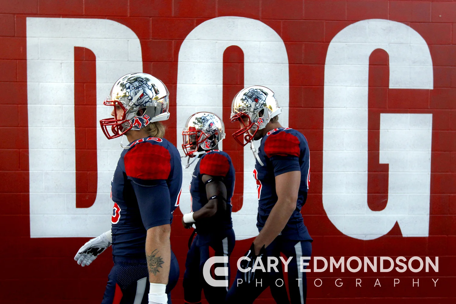 Fresno State Bulldogs Wall