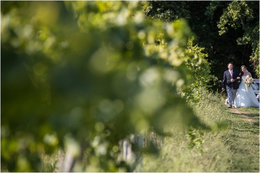 Black-Birch-Vineyard-Wedding-Four-Wings-Photography_0046.jpg