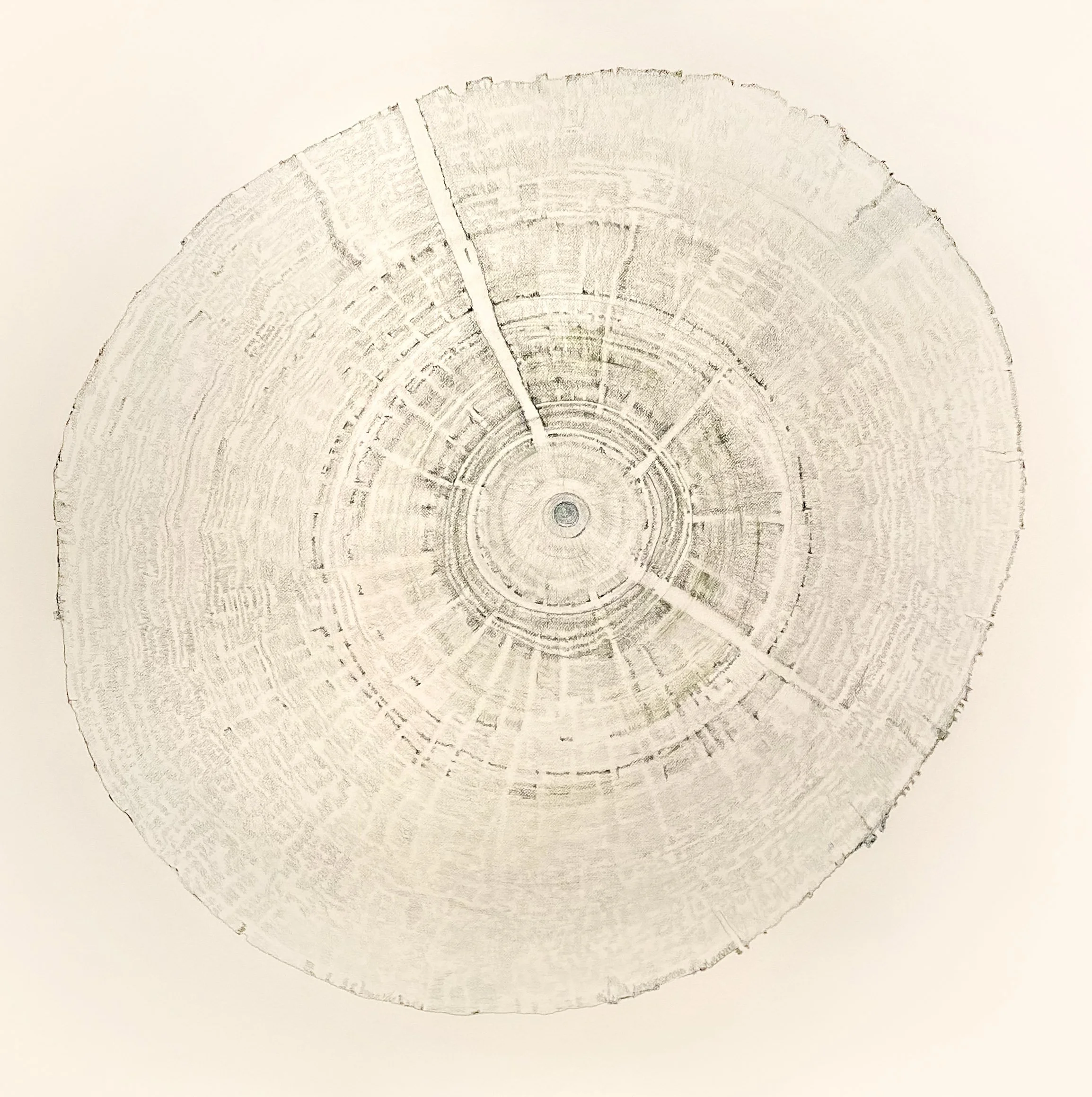 Tree Ring I, pencil on paper, 45" x 45" 