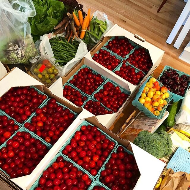 Sometimes I think I am a pretty even-keeled person, but then I go to the farmers&rsquo; market. 🤣😱 seriously though, I am prepared to process and freeze these fruits and vegetables and I know I am fortunate to have the time to do it. But I know the