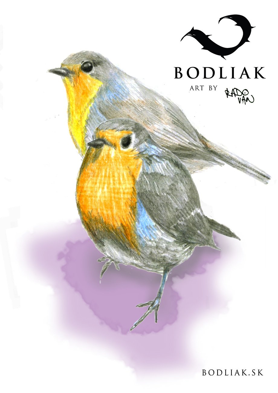 Bodliak_Zilina_Volne_Motivy_Tetovanie_Navrh_Farebne_Rado_van_Radovan_Vtaciky_Cervienka_Bird_Tattoo_0175.jpg