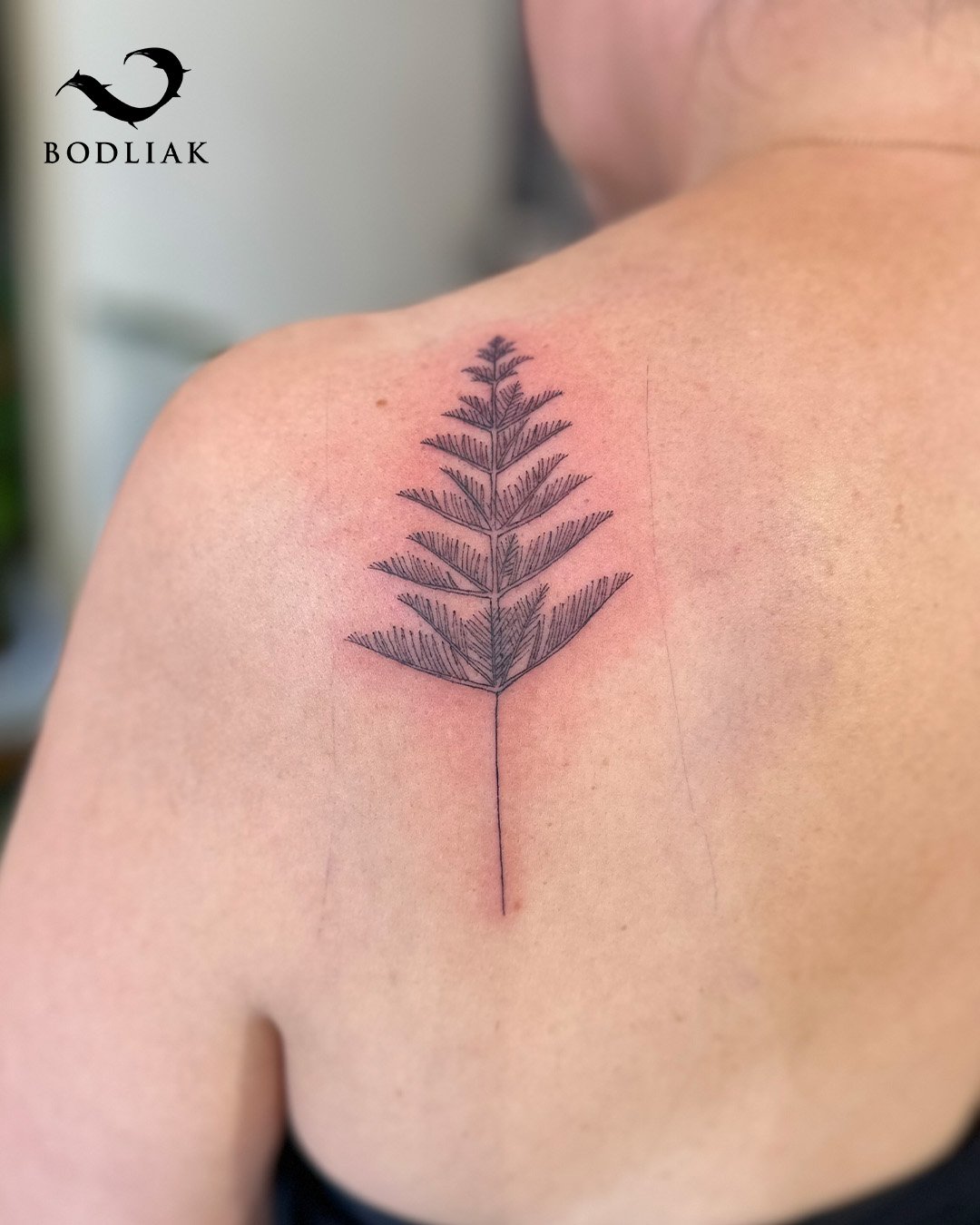 Unik&aacute;tna Araucaria na mieru pre Viki🌲

🌐www.bodliak.sk/galeria-nikoleta

Viki t&uacute;žila po jemnom linkovom tetovan&iacute; stromu Araucaria, a tak jej Nika navrhla tento jedinečn&yacute; mot&iacute;v presne na mieru. Elegantn&eacute; l&i