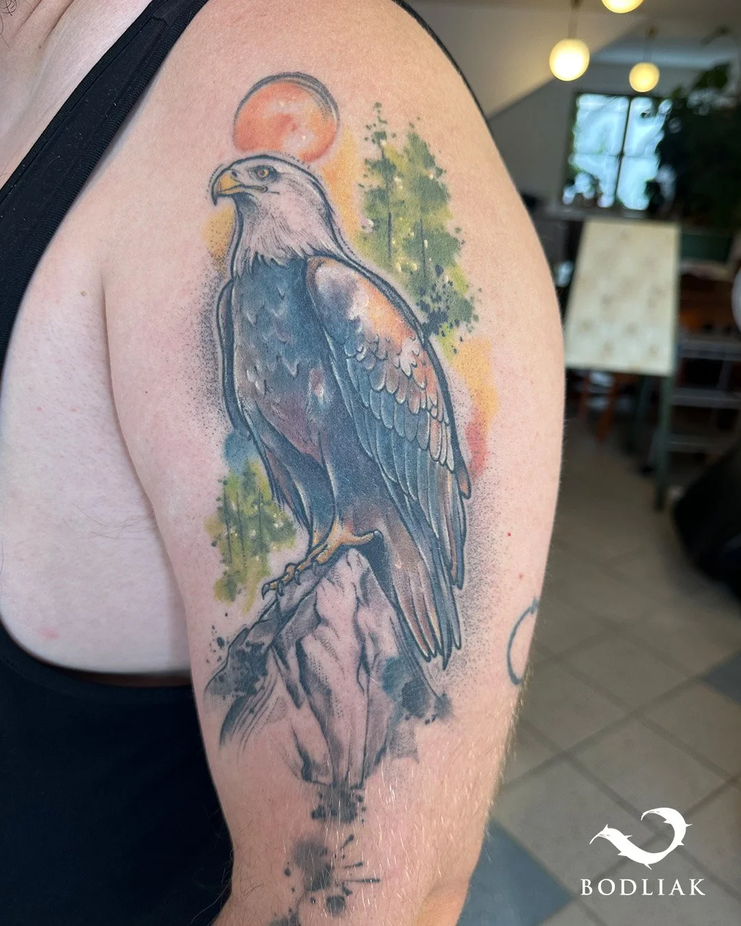 Vyhojen&yacute; orol🦅

🌐www.bodliak.sk/galeria-nikoleta

Pozrite sa, ako kr&aacute;sne sa usadili farby po zahojen&iacute;. Tento majest&aacute;tny orol pod zapadaj&uacute;cim slnkom je dielom na&scaron;ej Niky Ivanovi. Kombin&aacute;cia detailn&ya