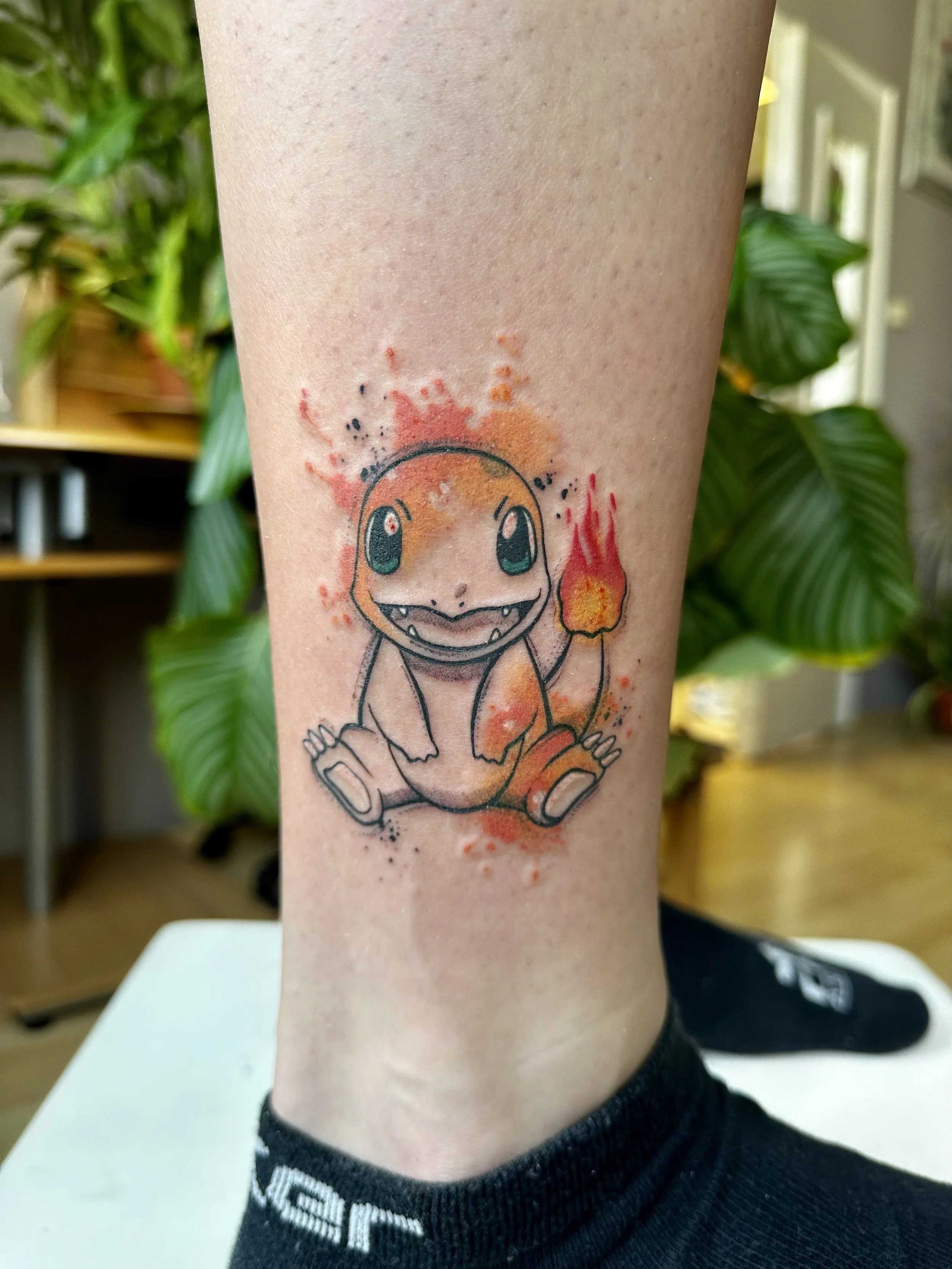 Pokémon, cena: 150 €