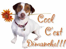 C'est Dimanche!