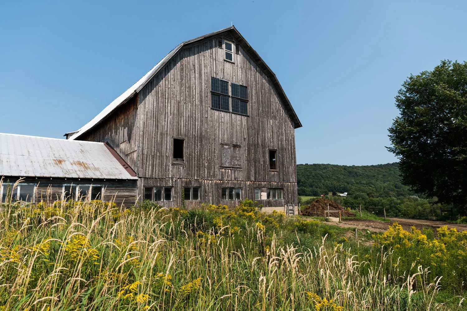 Photo courtesy of Ploughgate Creamery