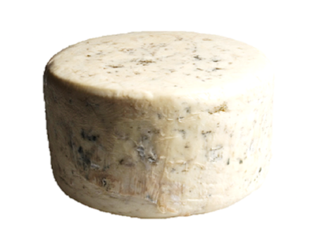 Chiriboga-Blue.png