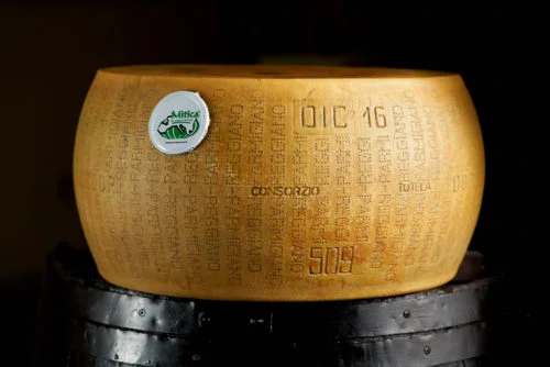 Parm-Regg2-500x334.jpg