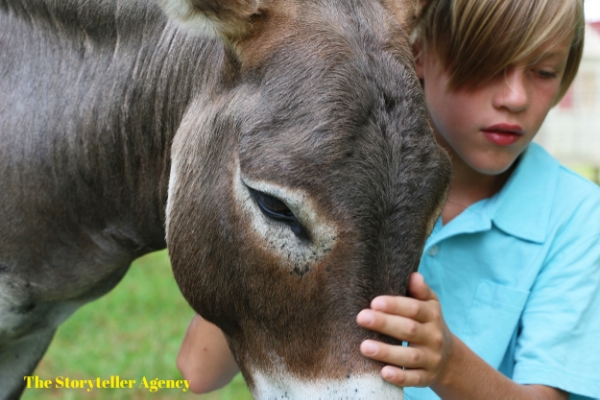 Boy and Donkey 1.jpg