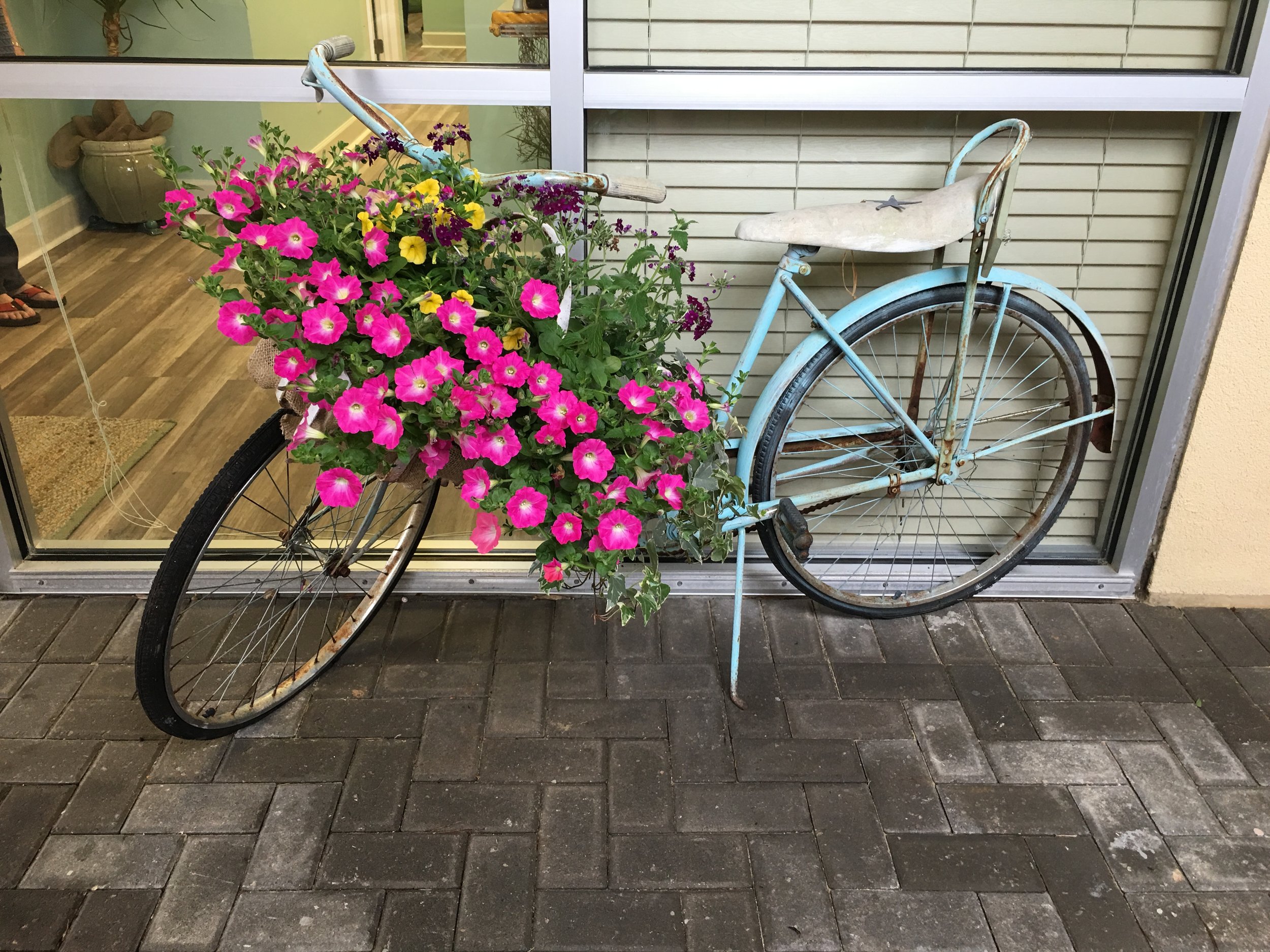 The Friday Fix - March 24, 2017