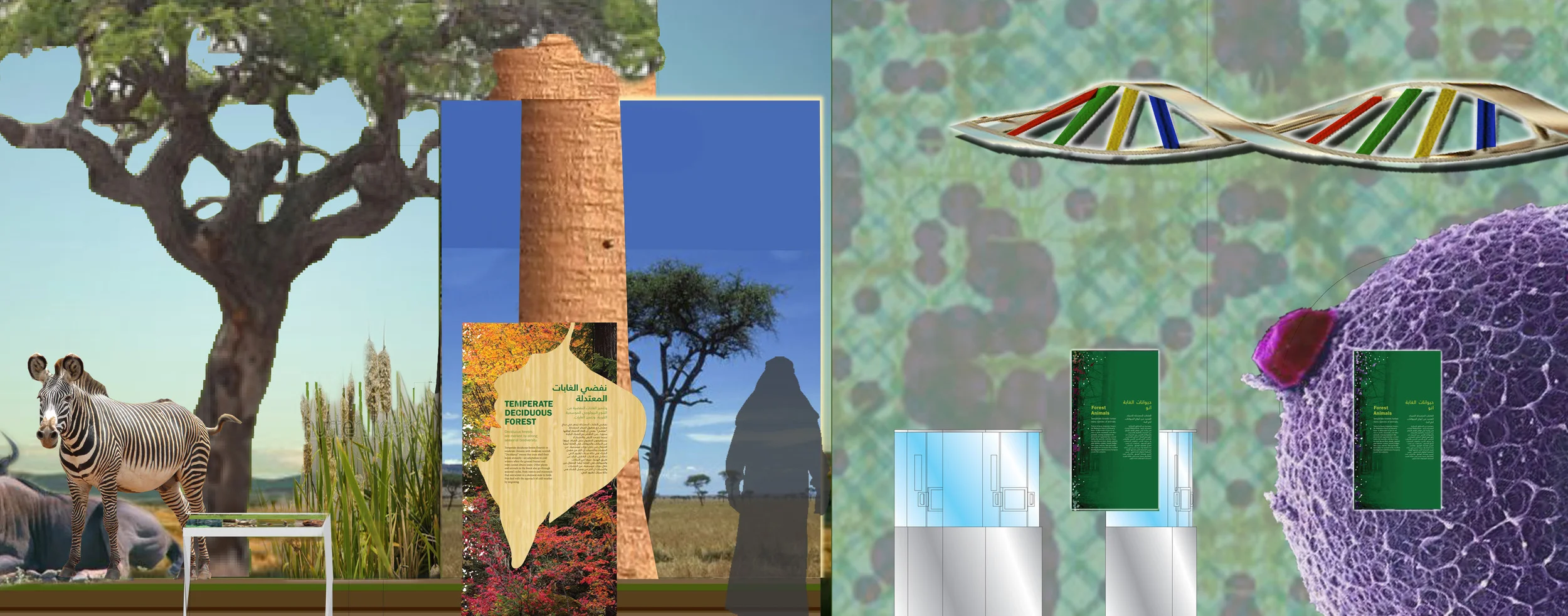 GeoEARTH_NZ_revcrop.jpg