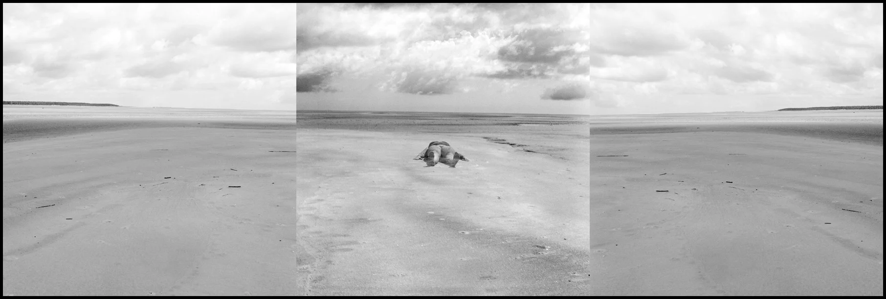 bonebeach copy.jpg