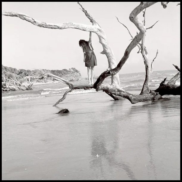 hangingtree.jpg