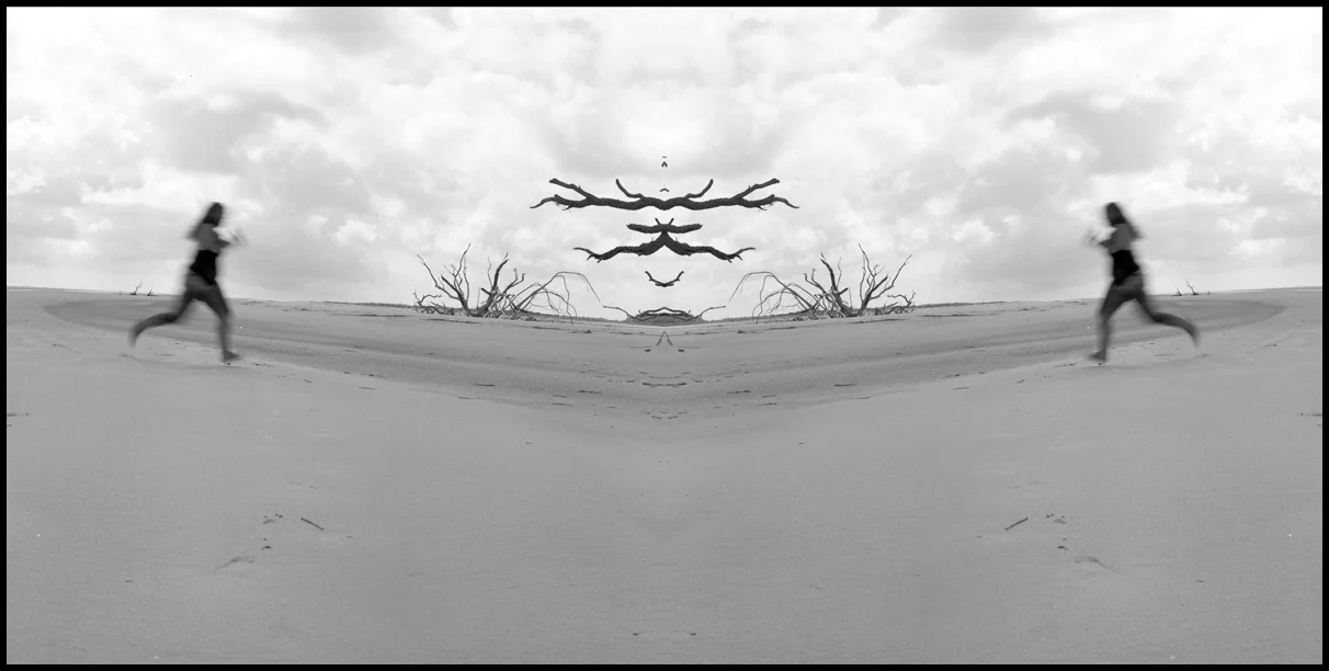 throughtheboneyard copy.jpg