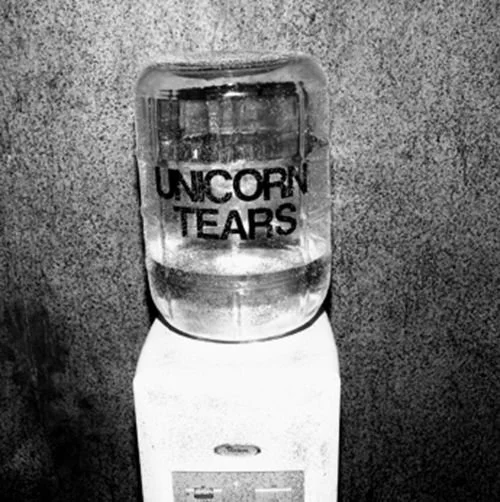 2b8b8fcacf0ee136f9b01ef296d08203 copy 2.jpg