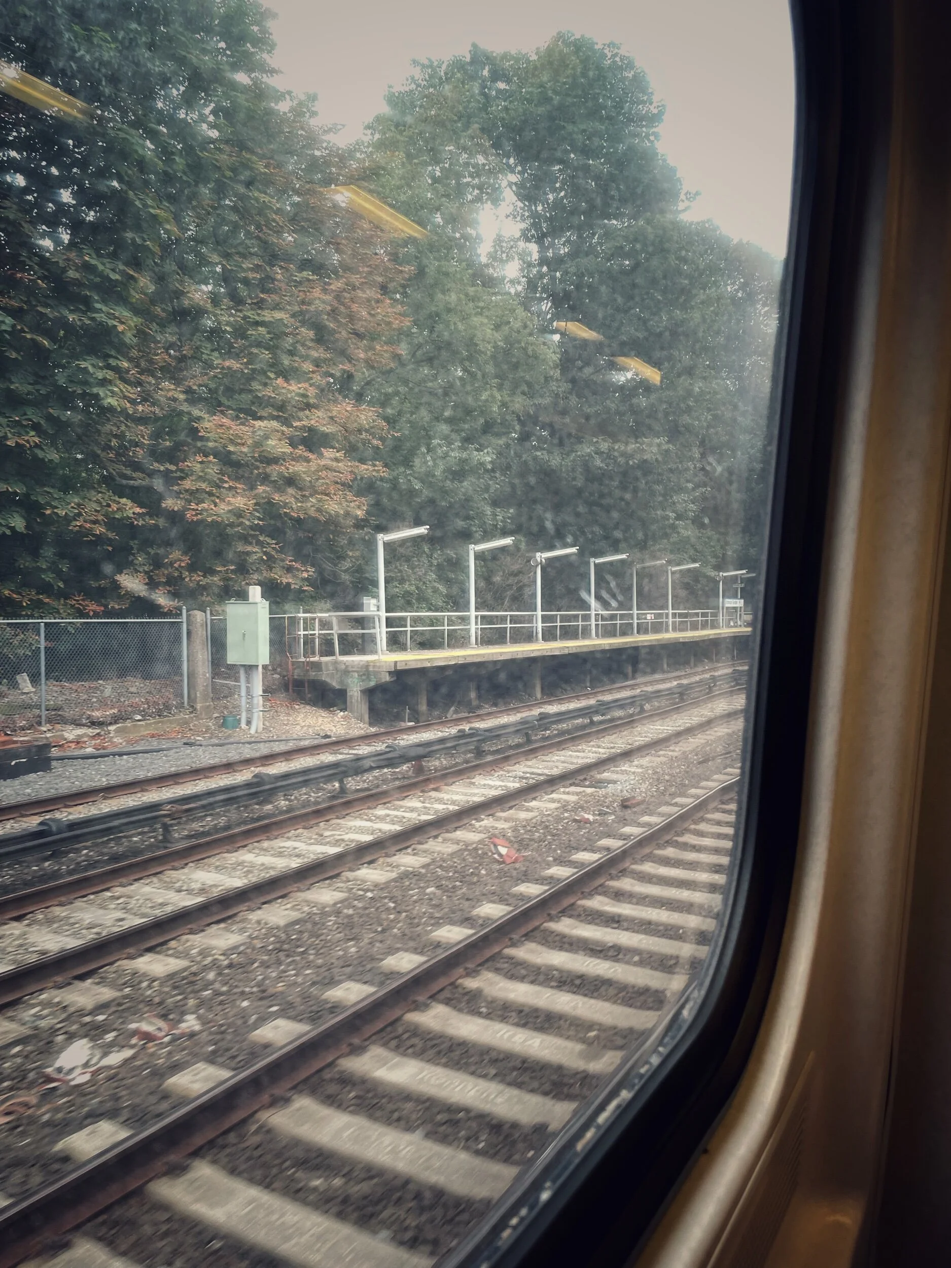 TRAIN