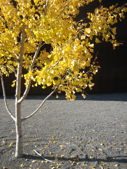 olympic-sculpture-park.jpg