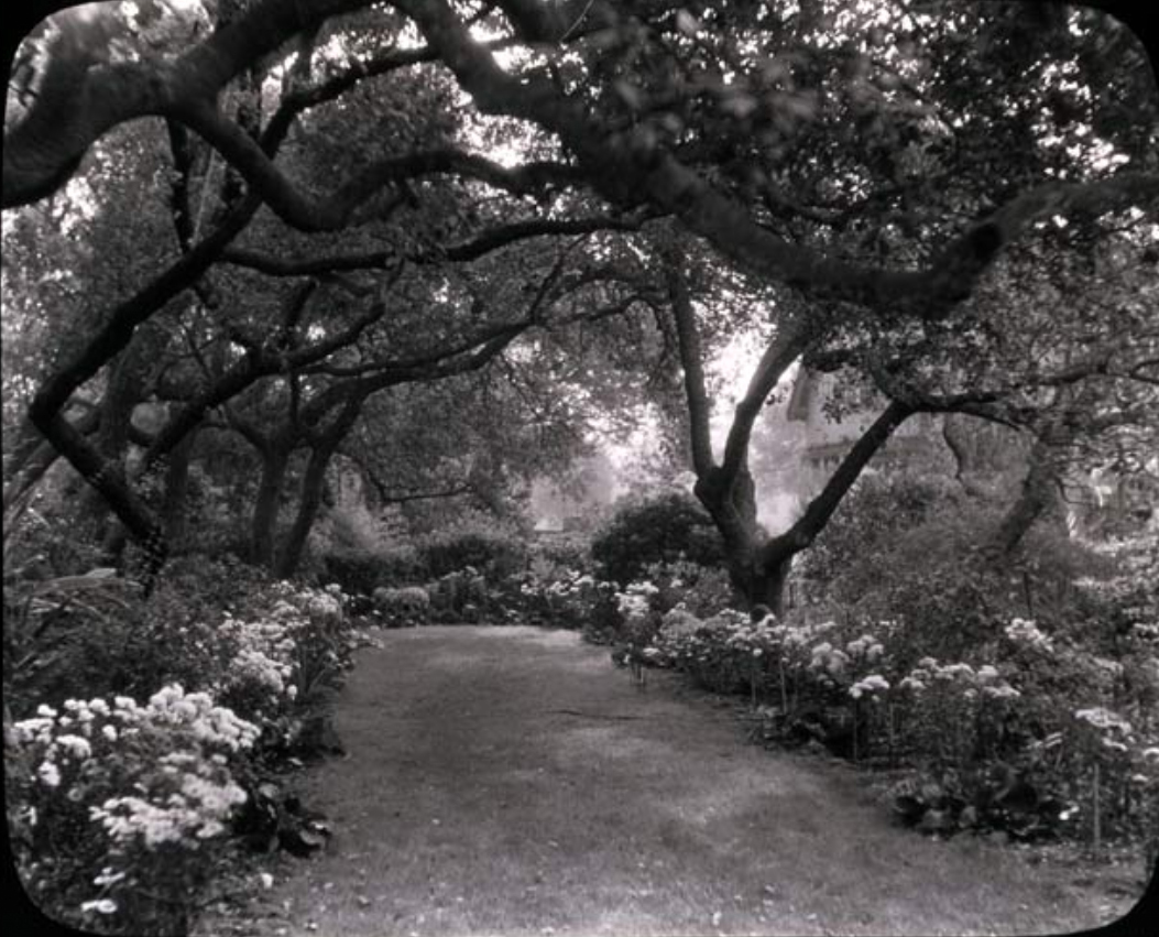 Unidentified-Garden-Pasadena.jpg