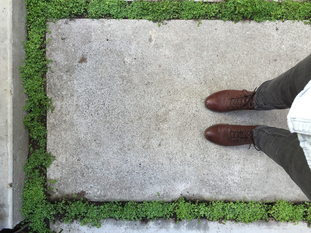 TNS hayes valley pavers.jpg