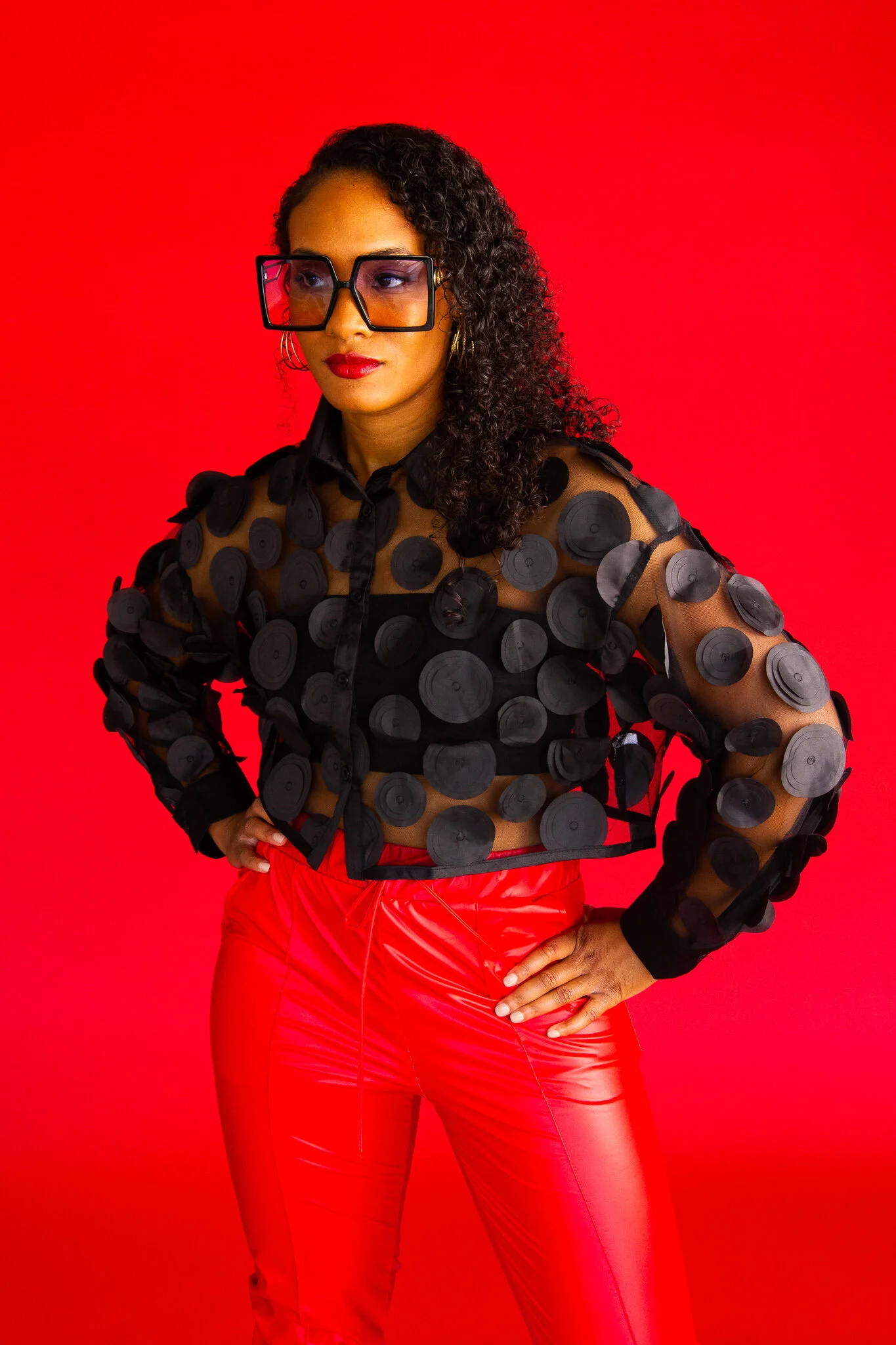 Black Sheer Organza Jacket — Elvatanza
