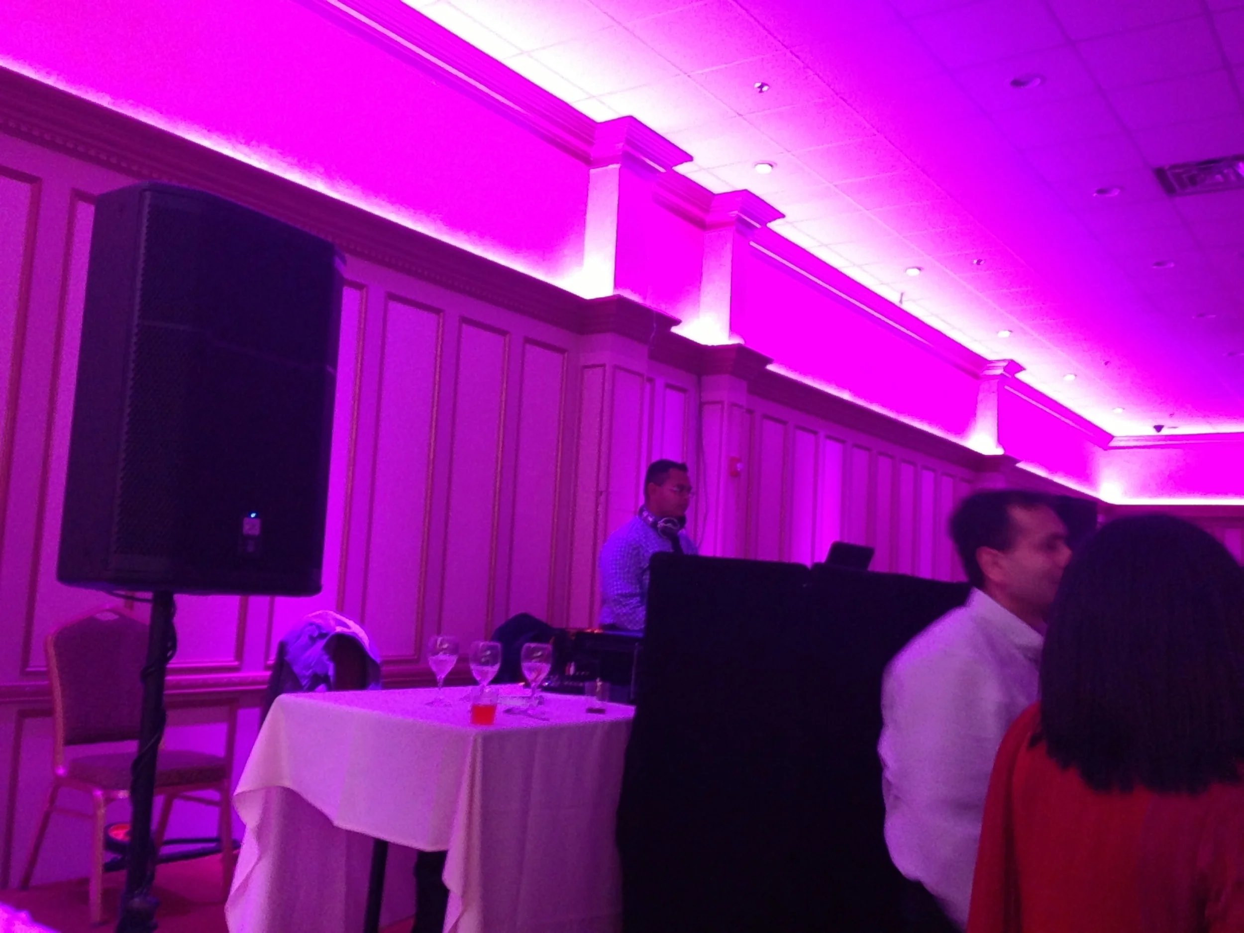 DJ Dubz djing a Diwali party 2013