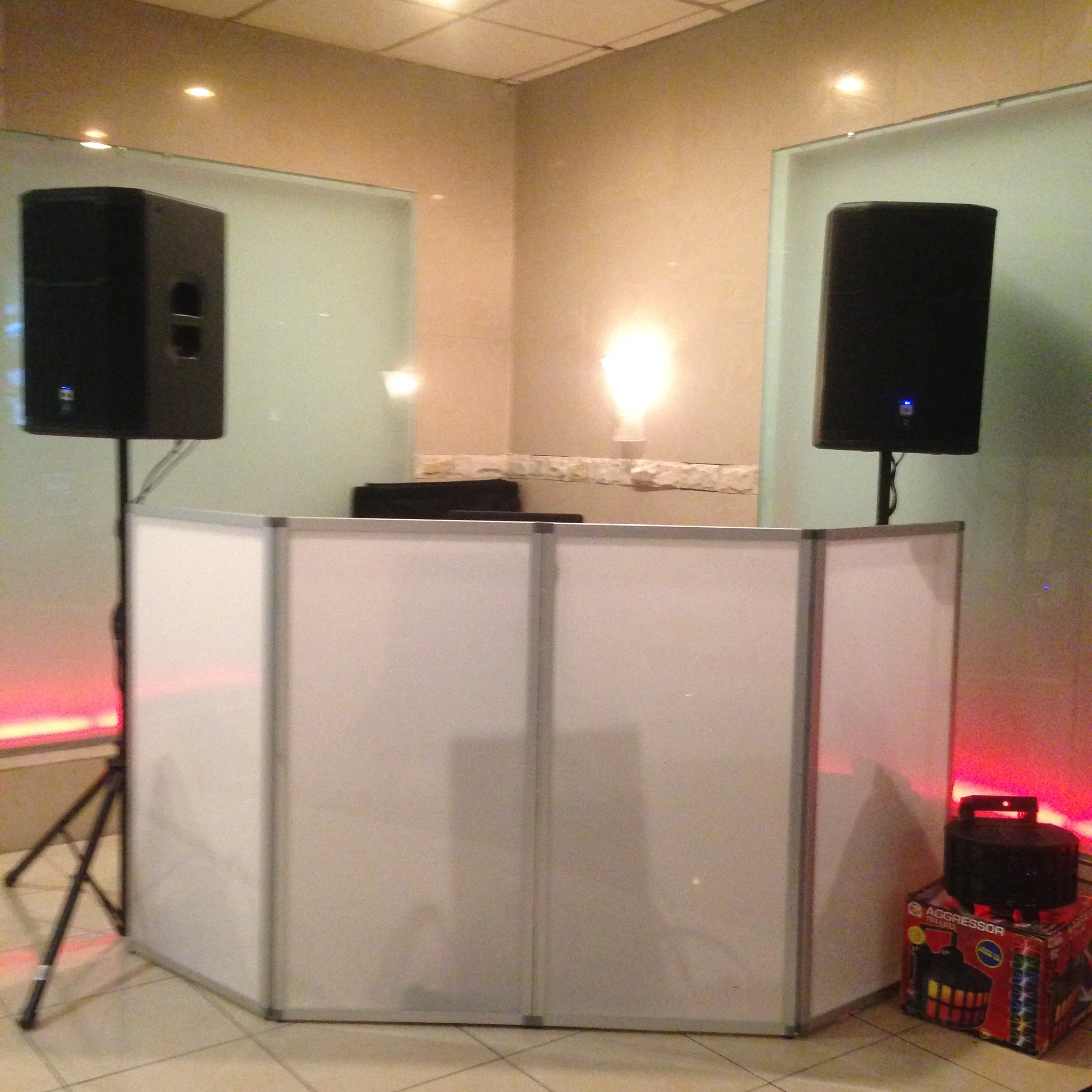 DJ Dubz djing a surprise birthday party 