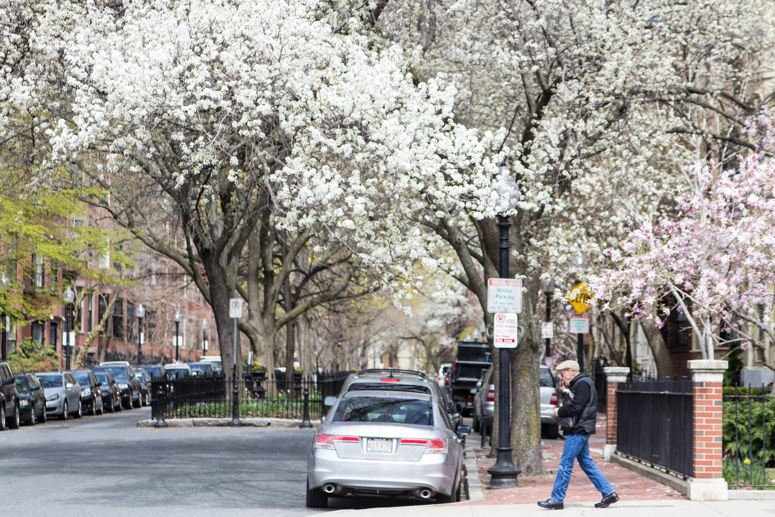 Spring in the South End, Boston