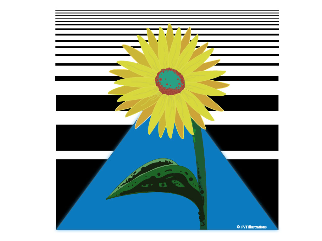 Sunflower competition submission.