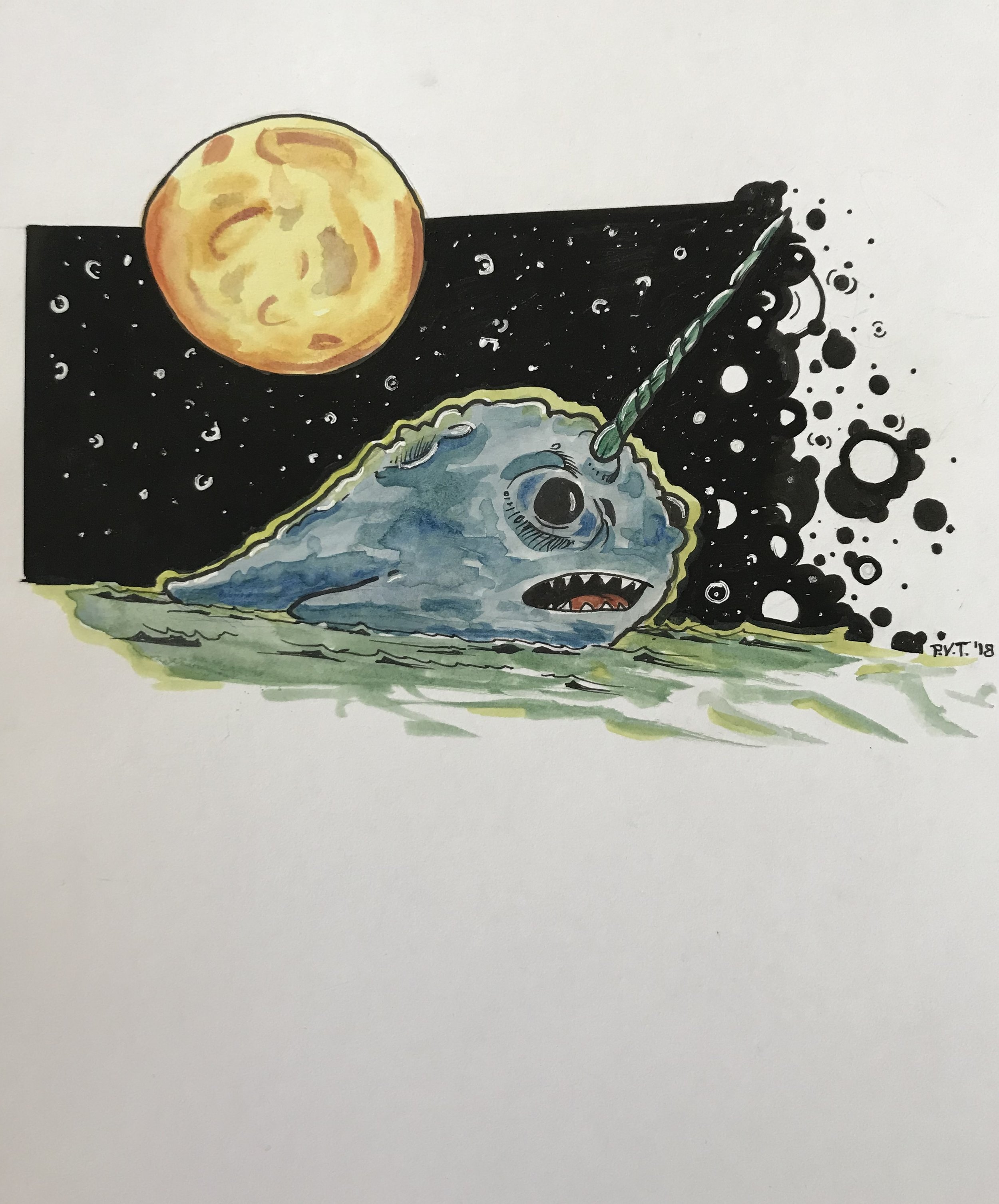 DandyNarwhal.jpeg