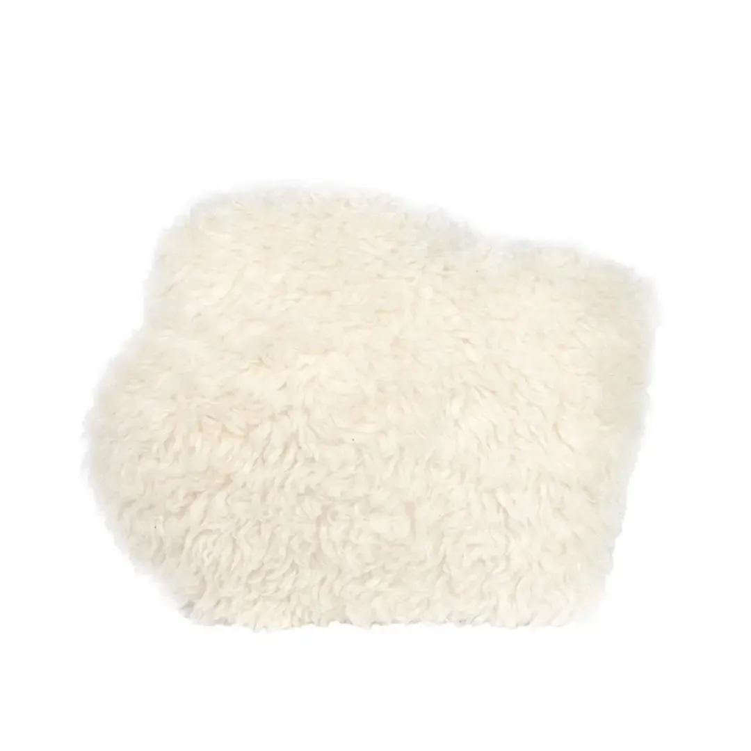 Dirt and Dog Hair - Pothos Plant - Back.jpeg