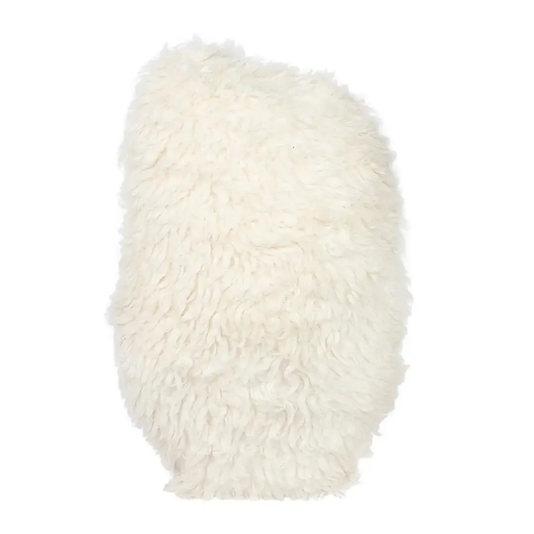 Dirt and Dog Hair - Snake Plant - Back.jpeg