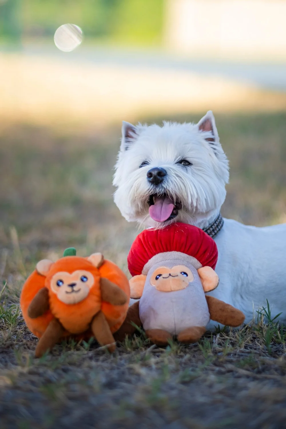 Fika's Freaky Friends Mushroom Monkey — Jeffrey's Natural Pet Foods