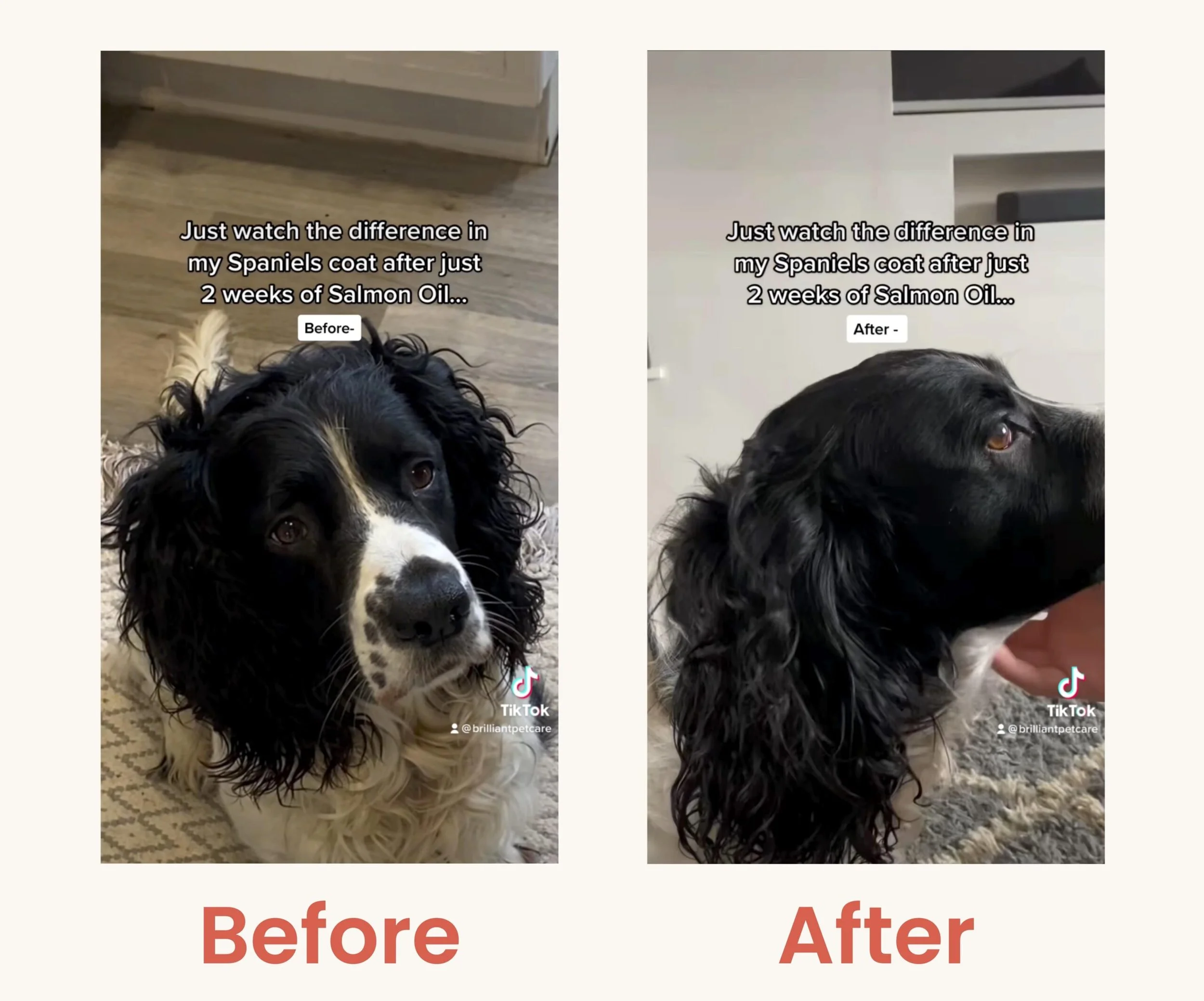 Before_And_After-min-1-scaled.jpeg