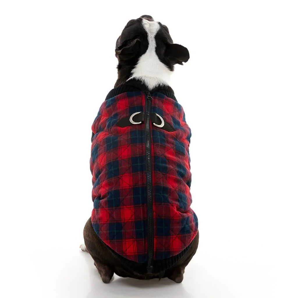 gooby-office-dog-miles-a-boston-terrier-wearing-red-checkered-fashion-vest-sitting-down-back-view-1024x1024px.jpeg