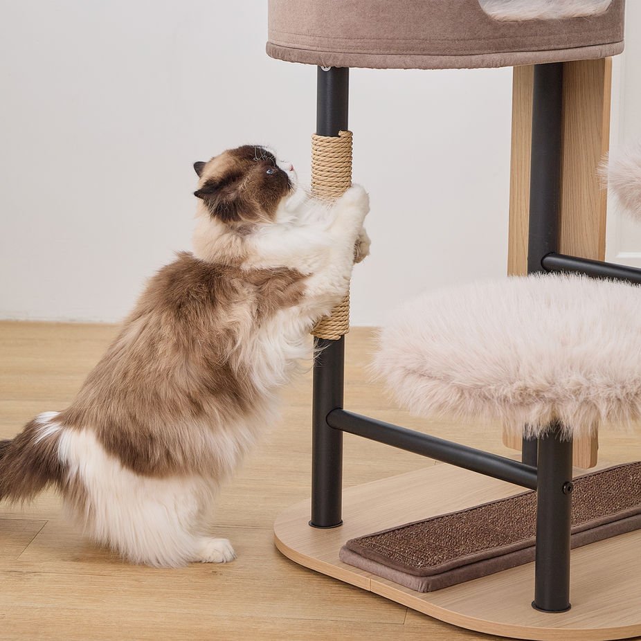 Petpals Starbz 4 Level Cat Tree 15.jpeg