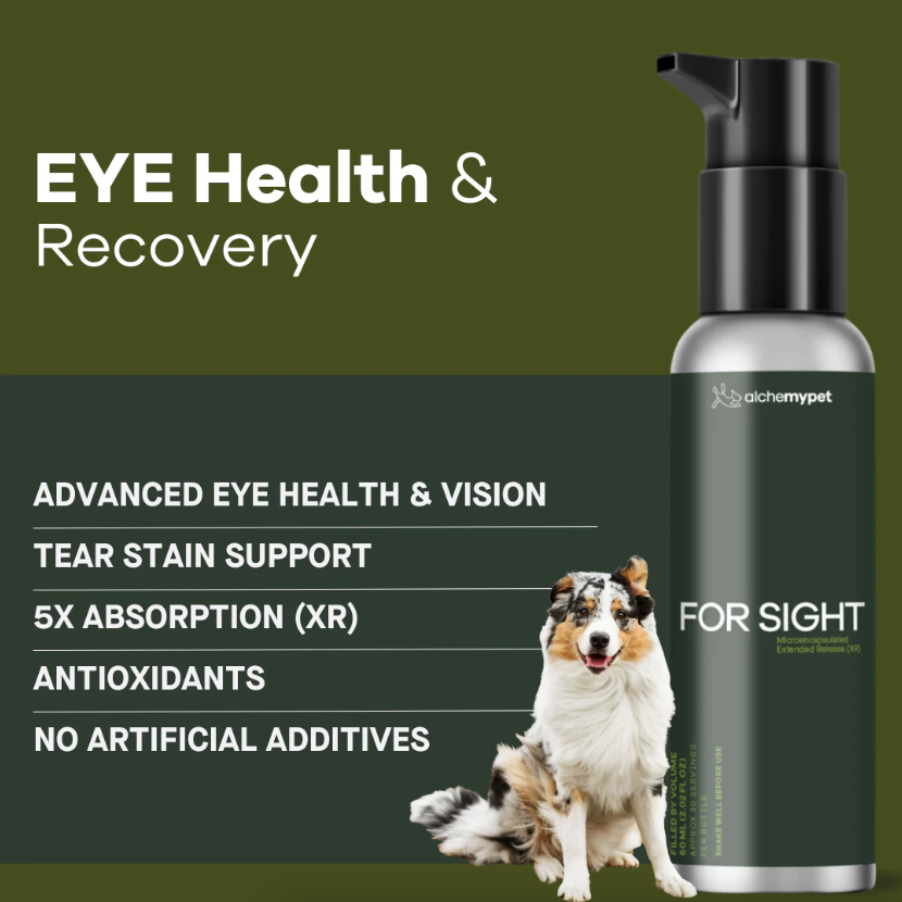 AlchemyPet SU For Sight 01.png