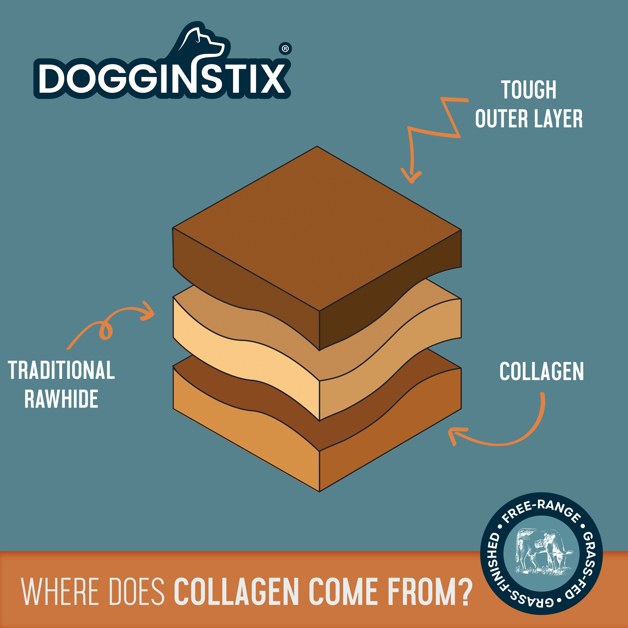 6_DOGGINSTIX_Beef_Collagen_UFO-Collagen_4a0d65f1-b66c-44ce-afa9-56a49f6623ce.png