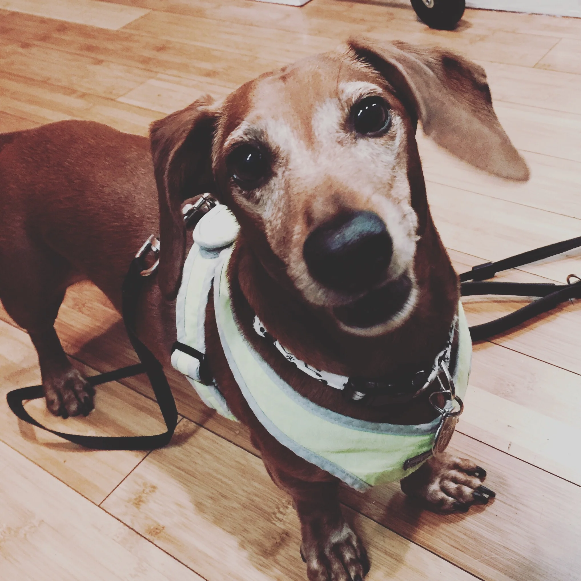 Wally boy!
