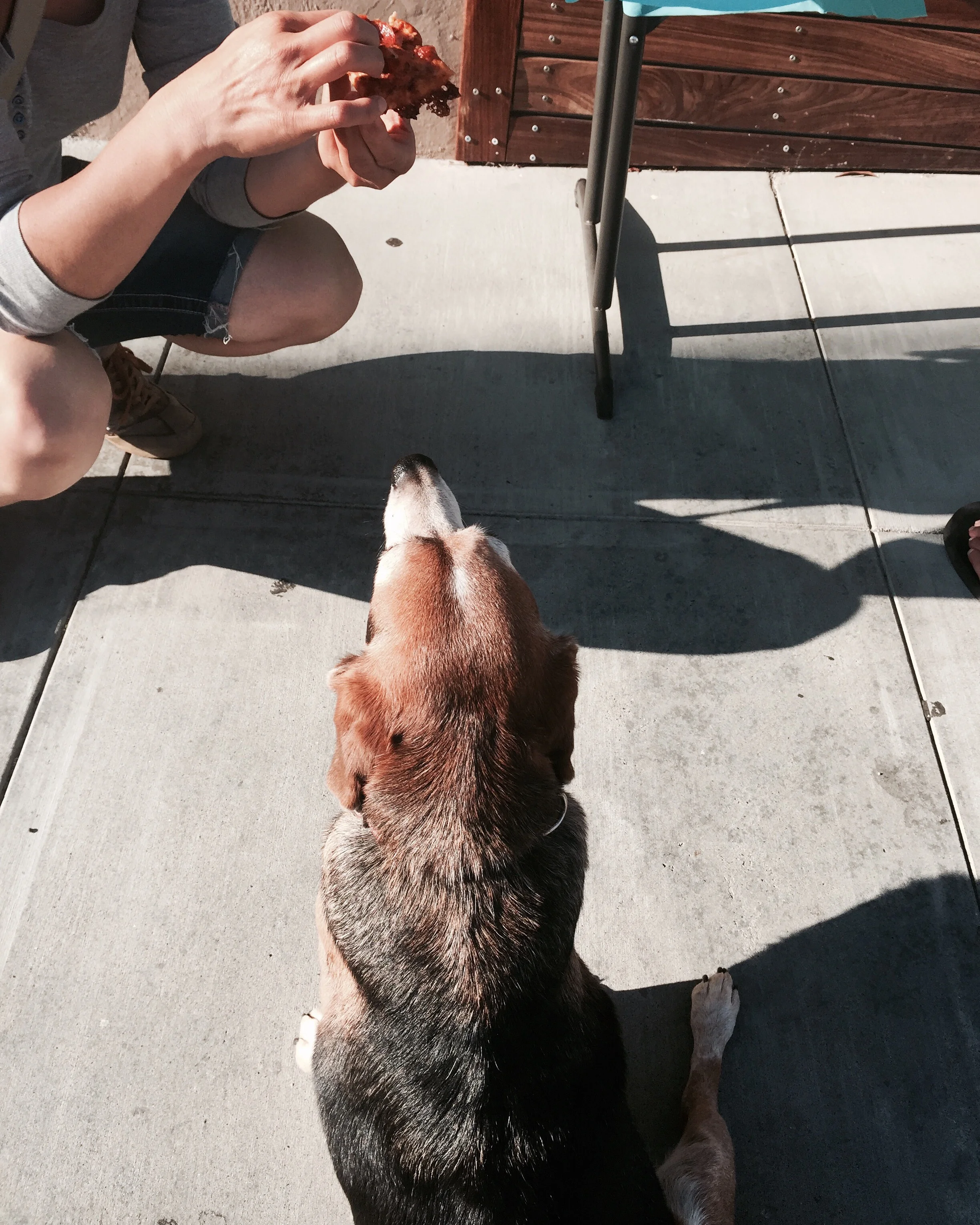 Pizza please!