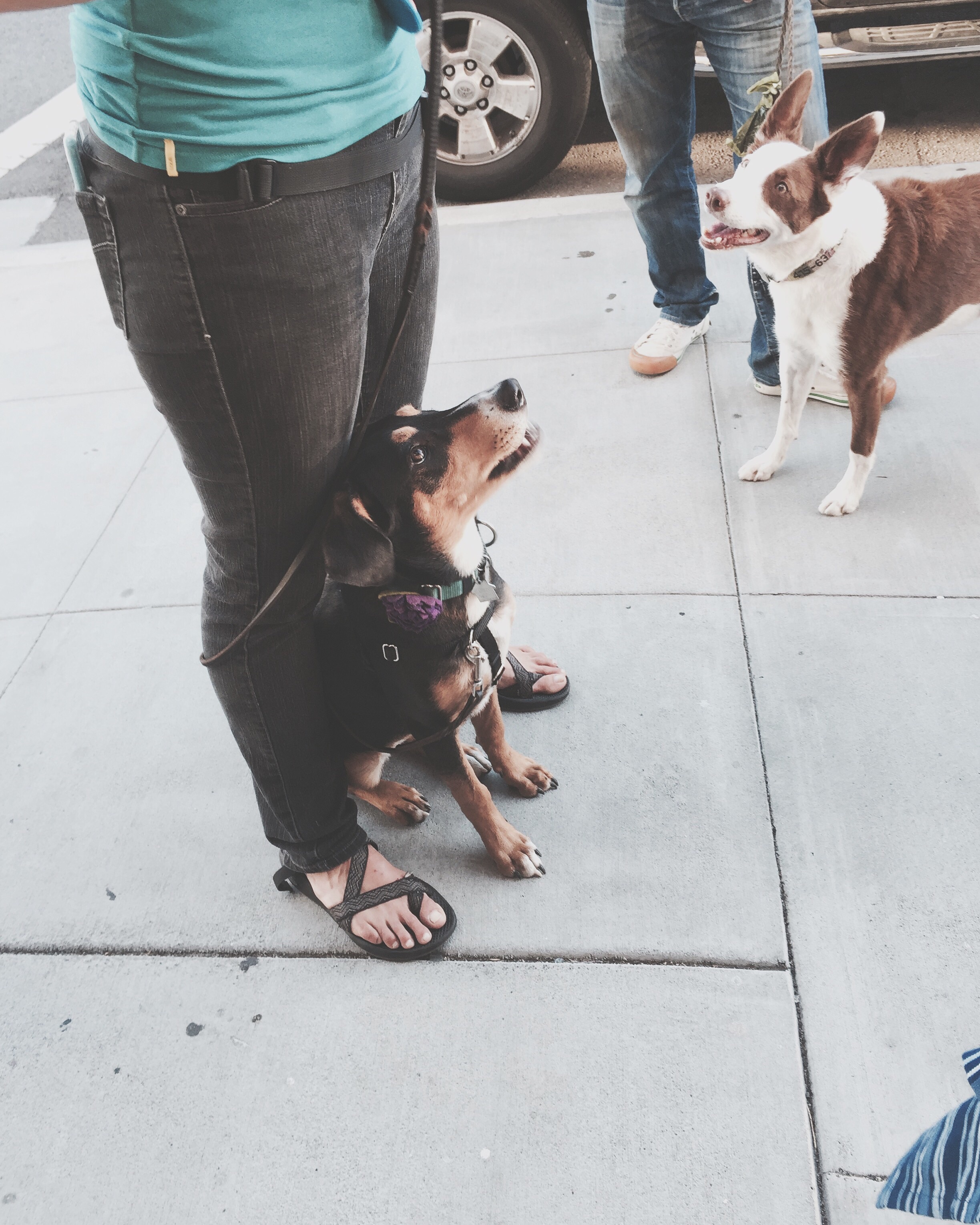 Molly adores her awesome trainer, Kelley Filson!