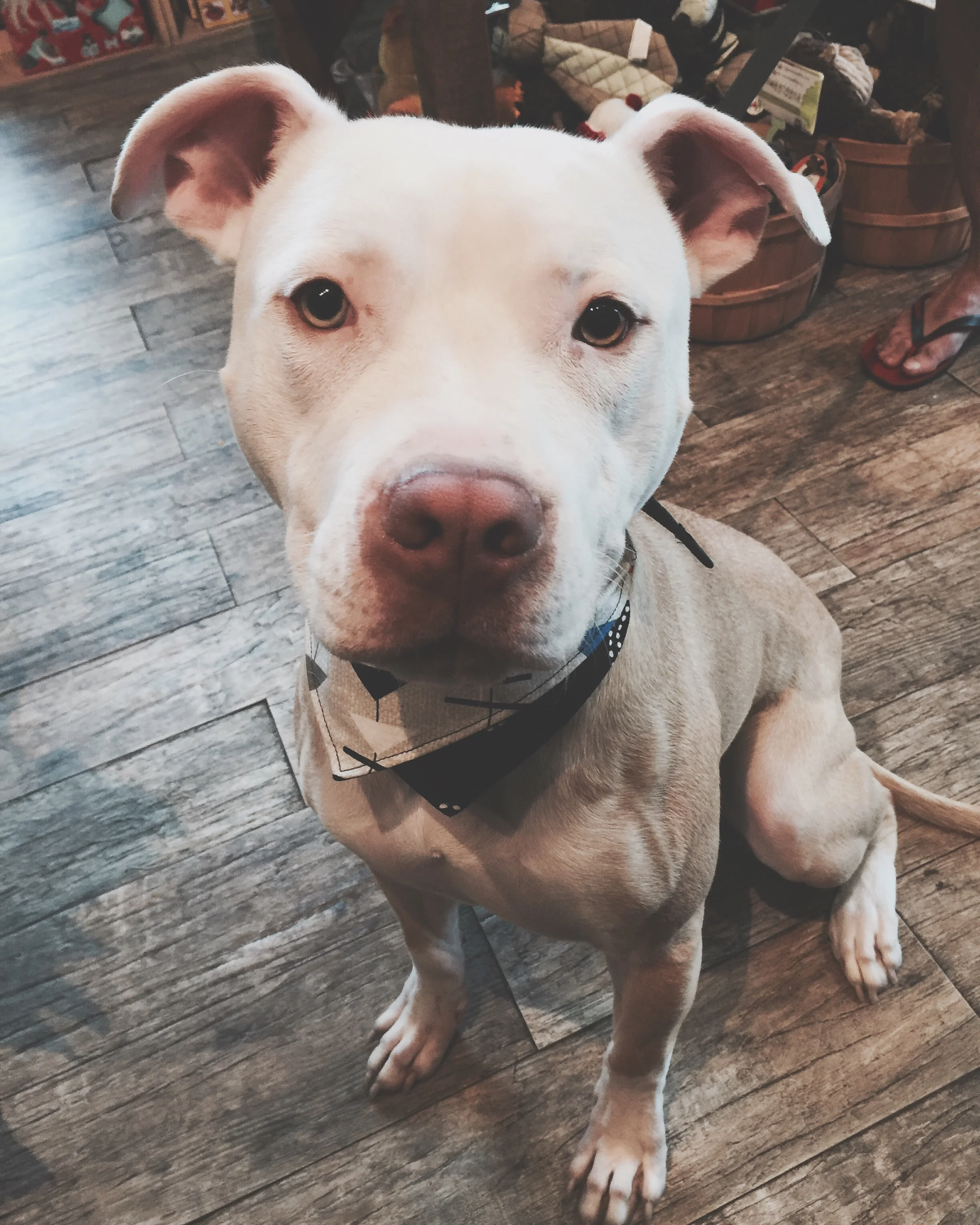 Max!