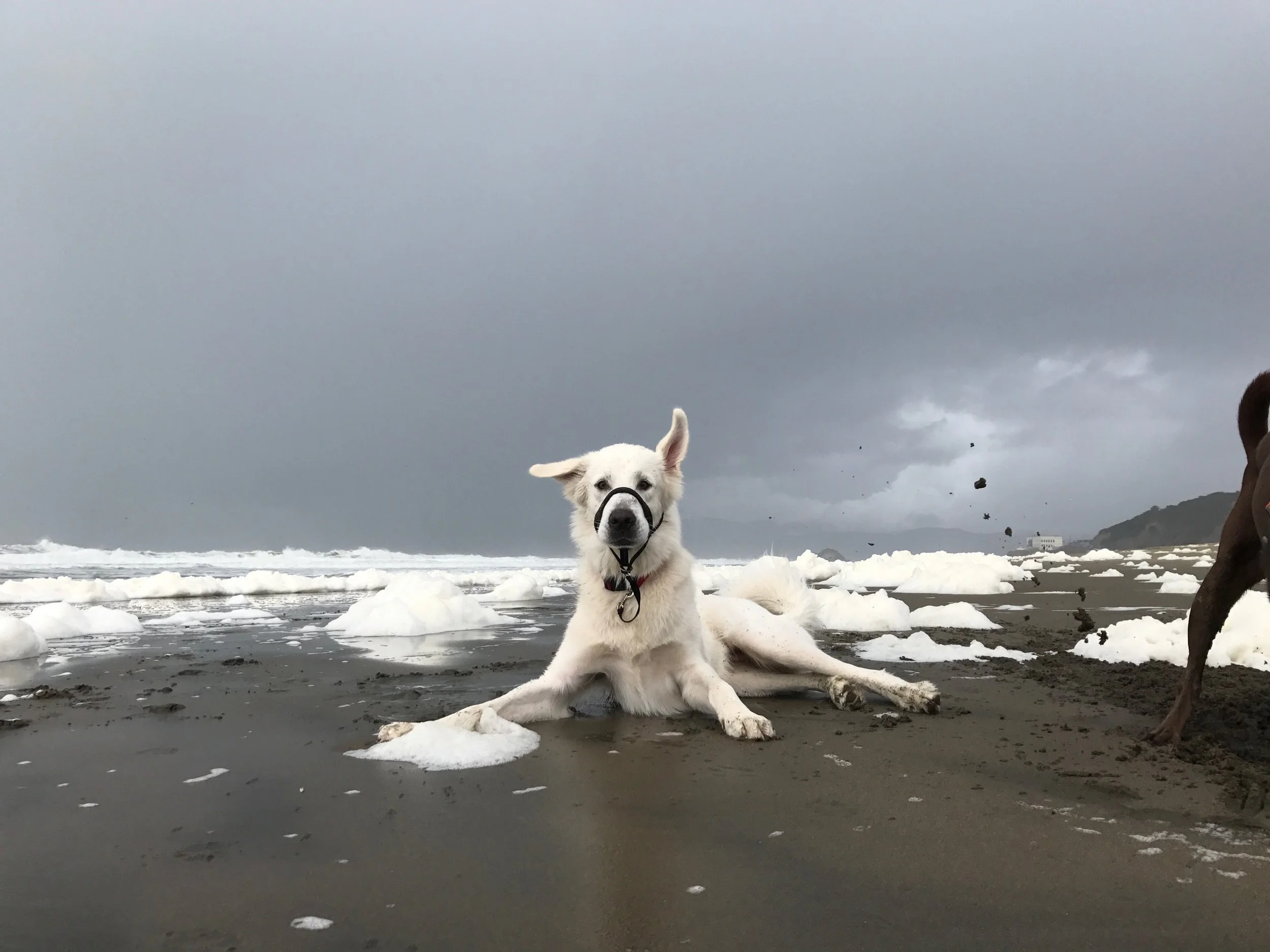 apollolovesfilson.jpg
