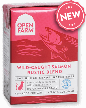 salmon-wet-cat-food-b.png