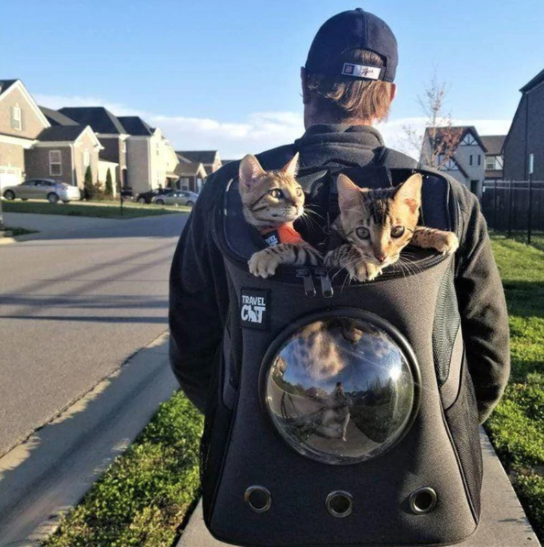 Cat Backpack Carrier, Breathable Cat Carrier Foldable Bubble