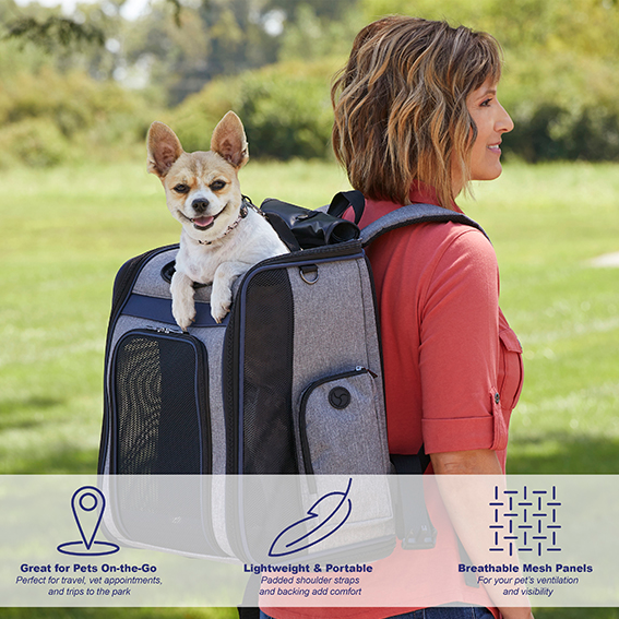 Buy Chihuahua Tote Bag Dog Shoulder Bag Dog Bag Dog Purse Dog Online in  India 